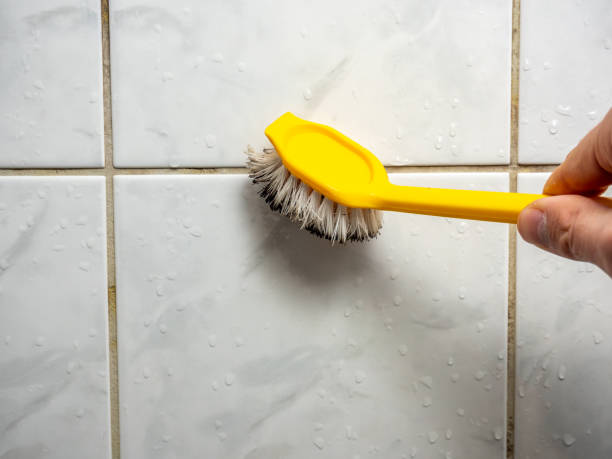 Best Preventive Mold Services in Fannett, TX
