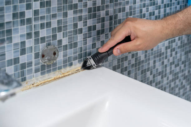 Best Health and Safety Mold Remediation in Fannett, TX