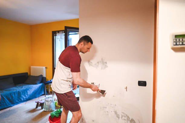 Best Post-Remediation Services in Fannett, TX