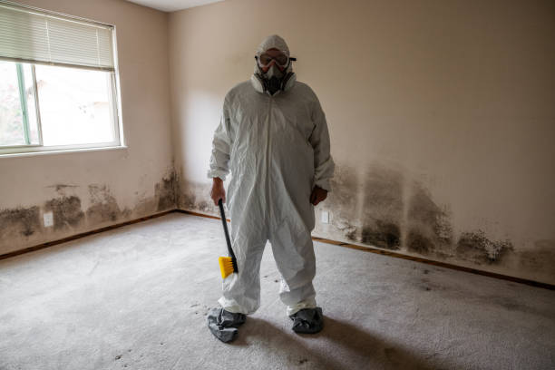 Best Mold Testing and Inspection Services in Fannett, TX